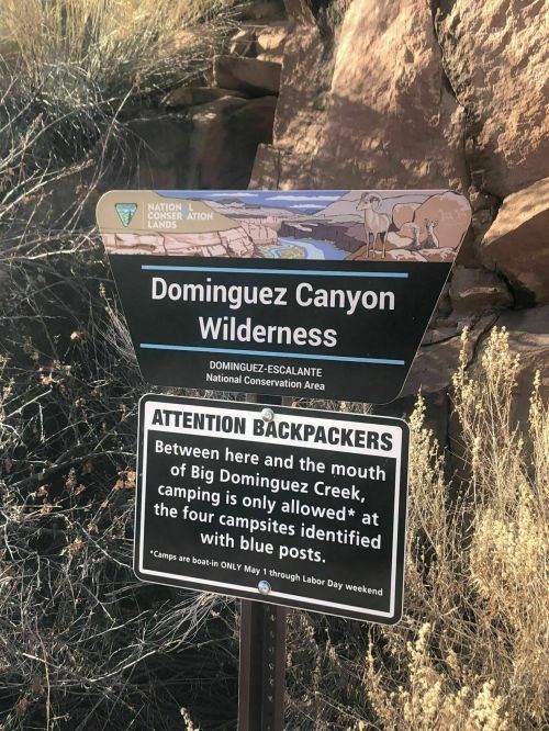 Sign for Dominguez Canyon Wilderness, detailing camping regulations for backpackers near Big Dominguez Creek.