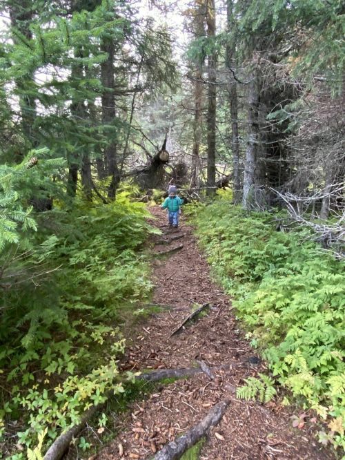 A child walks along a narrow dirt path through a lush, green forest surrounded by trees and foliage.