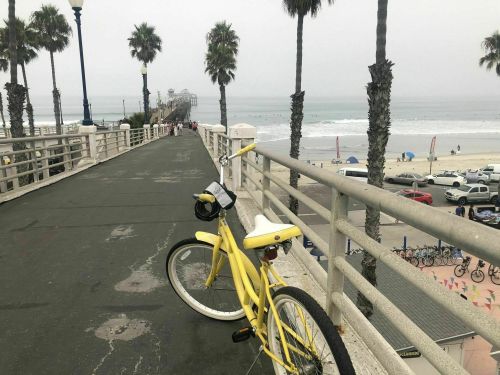A yellow bicycle rests on a walkway lined with palm trees, overlooking a beach and pier on a foggy day.