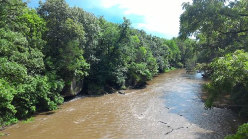 A winding river flows through a lush, green forest under a partly cloudy sky.