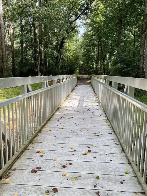 A wooden bridge leads through a lush green forest, with scattered leaves on the path and sunlight filtering through the trees.