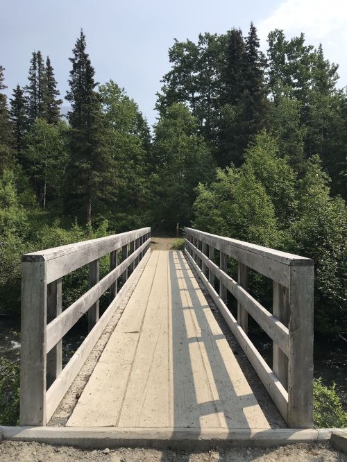 A wooden bridge spans a small stream, surrounded by lush green trees and a clear blue sky.