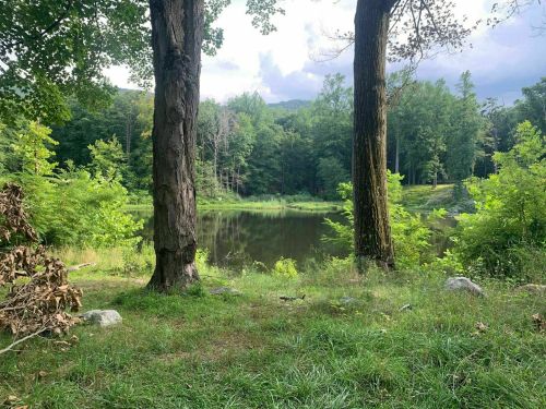 A serene pond surrounded by lush greenery and tall trees under a cloudy sky.