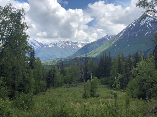 A scenic view of mountains with snow-capped peaks, surrounded by lush green trees and a cloudy blue sky.