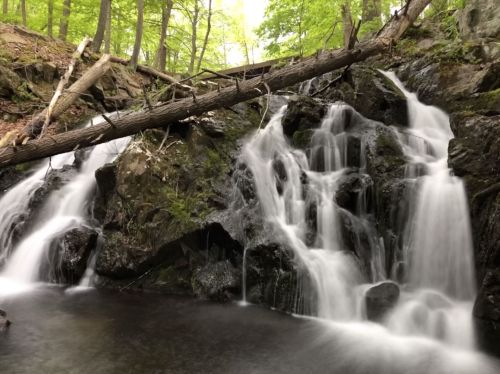 A serene waterfall cascades over rocks, surrounded by lush green trees and a tranquil pool below.