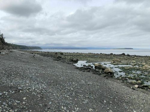 A rocky beach with scattered stones and tidal pools, under a cloudy sky and calm waters in the distance.