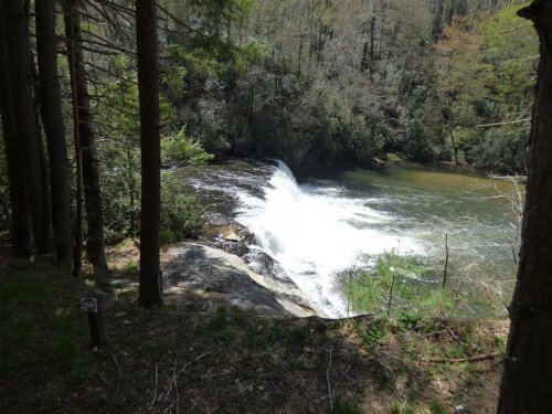 A serene waterfall cascading into a river, surrounded by lush greenery and trees in a tranquil forest setting.
