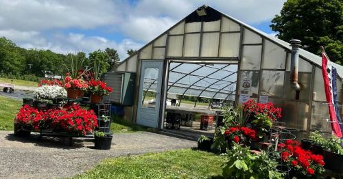 A greenhouse entrance surrounded by vibrant red flowers and potted plants on a sunny day.
