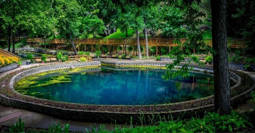 A serene circular pond surrounded by lush greenery and wooden walkways, reflecting the trees above.