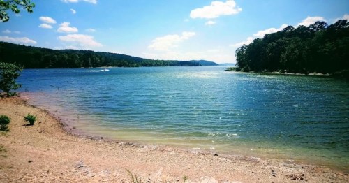 A serene lake surrounded by trees under a clear blue sky, with gentle waves lapping at the sandy shore.