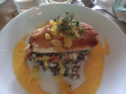 A beautifully plated fish dish topped with herbs, served on a bed of rice and beans with a vibrant sauce.