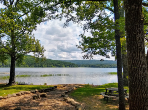 A serene lake view surrounded by trees, with a picnic table and rocky shoreline under a partly cloudy sky.