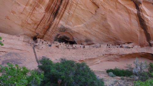Ancient cliff dwellings nestled under a rocky overhang, surrounded by greenery and sandstone formations.