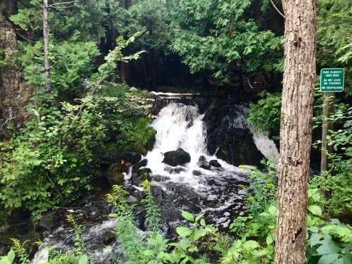 A small waterfall cascades over rocks, surrounded by lush green foliage and a sign in the background.