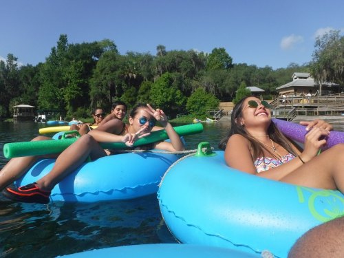 A group of friends relaxes on colorful inner tubes in a sunny river, enjoying a fun day outdoors.