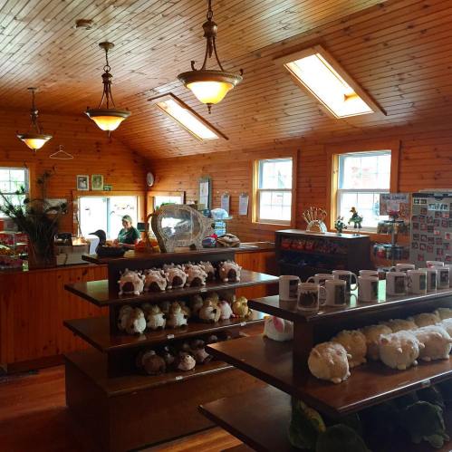 Cozy wooden interior of a shop with shelves displaying mugs and plush toys, and a counter in the background.