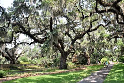 A scenic path lined with large, moss-covered trees in a lush green park. Two people walk in the distance.