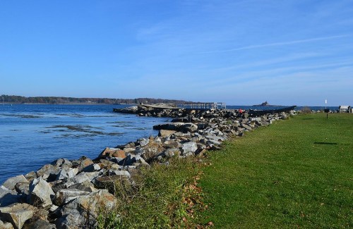 A rocky shoreline leads to calm waters under a clear blue sky, with green grass in the foreground and trees in the distance.