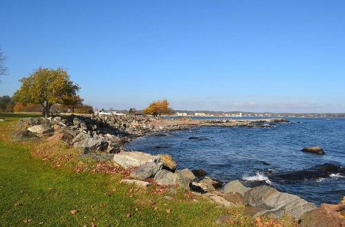 A rocky shoreline with green grass and trees under a clear blue sky, overlooking calm water and distant land.