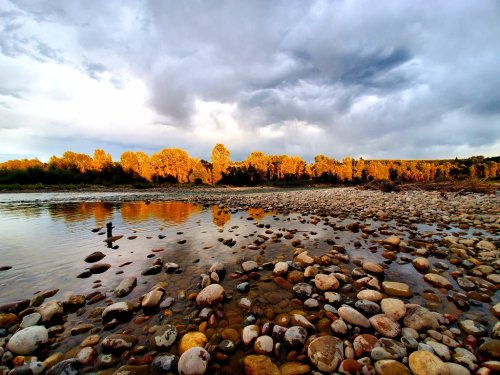 A rocky riverbank at sunset, with golden trees reflecting in the water under a cloudy sky.