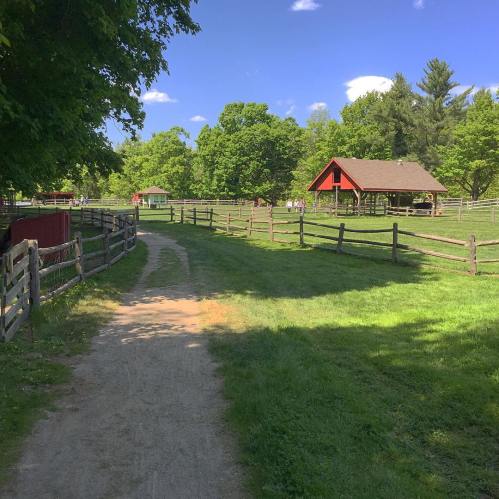 A dirt path leads through a green field with wooden fences and a red barn under a clear blue sky.