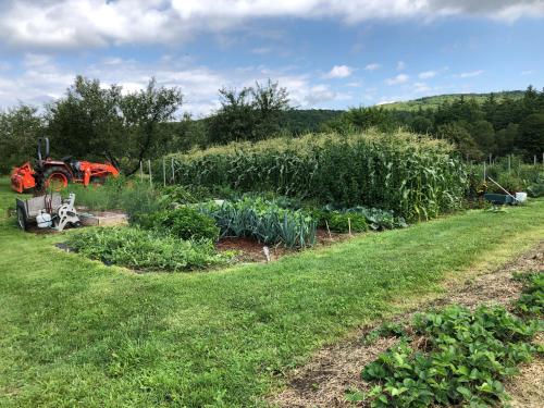 A lush garden with various vegetables, surrounded by trees and hills, featuring a tractor and gardening tools nearby.