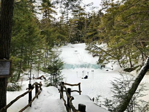 A snowy forest scene with a frozen waterfall, surrounded by trees and a wooden railing leading to the icy area.