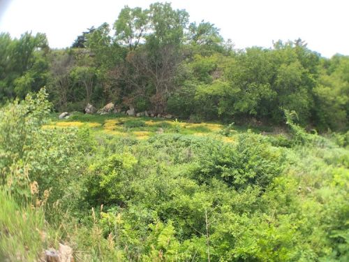 Lush green landscape with trees and wildflowers, set against a rocky hillside under a bright sky.