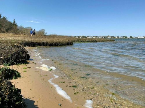 A sandy shoreline with gentle waves, seaweed, and two people walking in the distance under a clear blue sky.