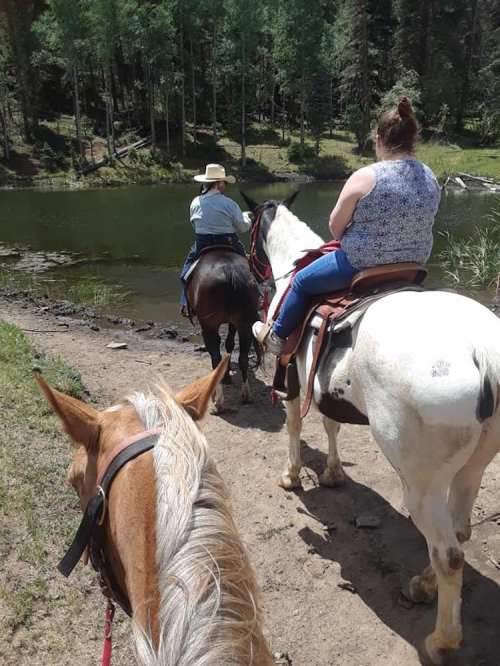 Two people riding horses by a serene lake, surrounded by trees in a sunny outdoor setting.