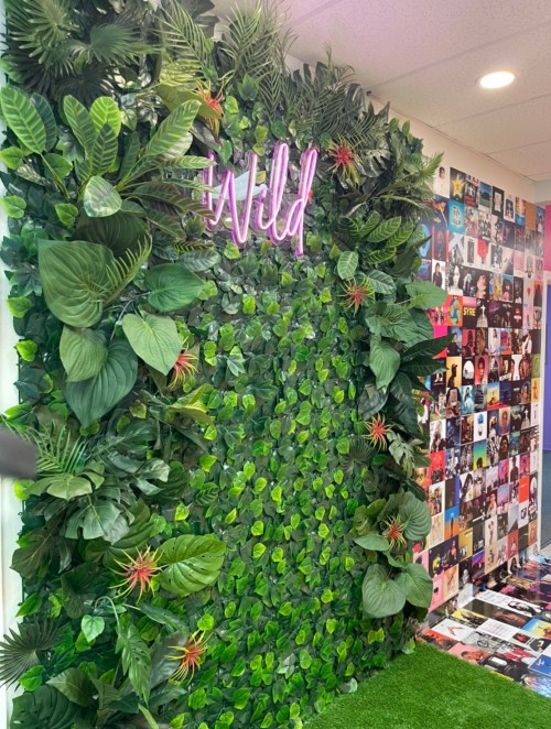 A vibrant green wall covered in plants with a neon sign reading "Wild," next to a collage of colorful album covers.