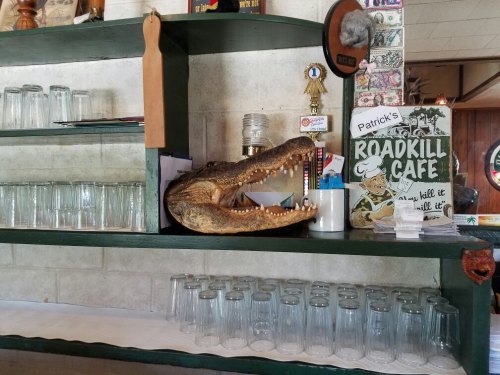 A shelf displaying glasses, a crocodile skull, and a sign for "Patrick's Roadkill Cafe" in a quirky cafe setting.