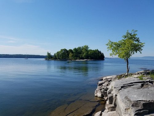 A calm lake scene with a rocky shore, a lone tree, and a small island surrounded by clear blue water under a sunny sky.