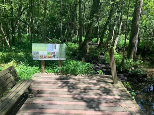 A wooden observation deck in a lush green forest, with a sign about local wildlife and a small stream nearby.