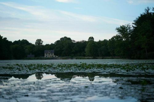 A serene lake scene with a house in the background, surrounded by trees and lily pads reflecting in the water.