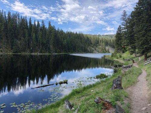 A serene lake surrounded by lush green trees and a winding path, reflecting the sky and clouds above.