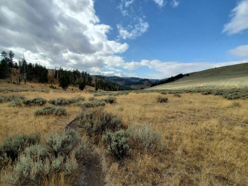 A wide, open landscape with dry grass, shrubs, and distant mountains under a partly cloudy sky.
