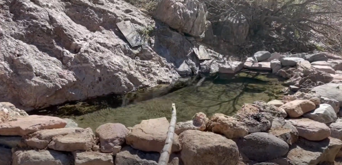 A serene natural pool surrounded by rocks and trees, with a wooden stick resting on the water's edge.