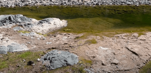 A rocky riverbank with clear water and patches of green moss, surrounded by pebbles and sandy areas.