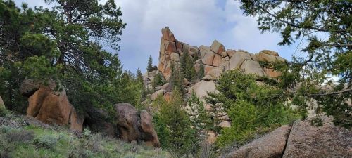 Rocky outcrop surrounded by pine trees under a cloudy sky, showcasing rugged terrain and natural beauty.