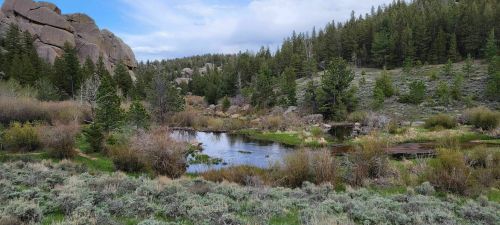 A serene landscape featuring a calm pond surrounded by lush greenery and rocky hills under a partly cloudy sky.