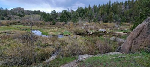 A serene landscape featuring a grassy meadow, a small pond, and rocky outcrops surrounded by lush trees.