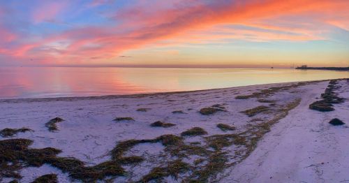 A serene beach at sunset, with soft pink and orange skies reflecting on calm waters and scattered seaweed on the sand.
