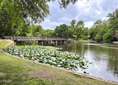A serene park scene featuring a pond with lily pads and a wooden bridge under a cloudy sky.
