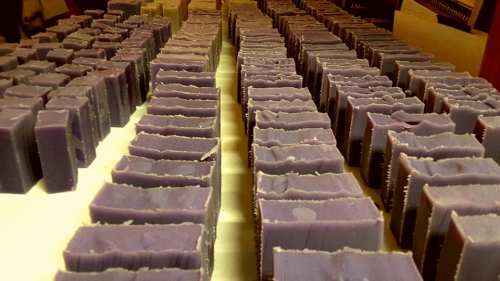 Rows of neatly cut purple soap bars arranged on a white surface, showcasing their textured edges.