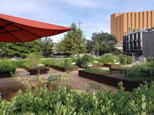 A community garden with green plants, seating areas, and a red umbrella, set against a backdrop of buildings.