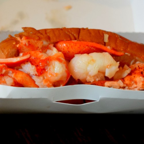 A close-up of a lobster roll filled with chunks of lobster meat in a toasted bun.