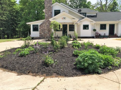 A landscaped garden with various plants and mulch in front of a white house with a stone chimney.