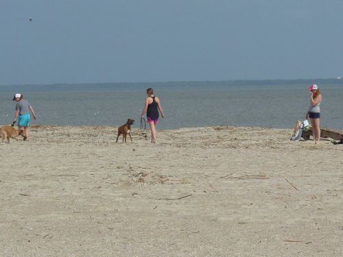 Two people walk dogs on a sandy beach, while another person stands nearby, with water and a cloudy sky in the background.