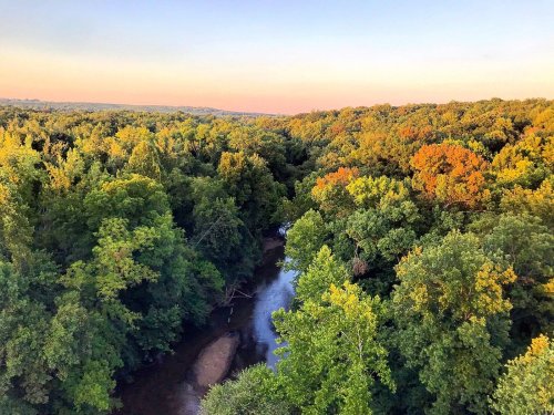 Aerial view of a lush forest with a winding river, showcasing vibrant green and autumn-colored trees under a clear sky.